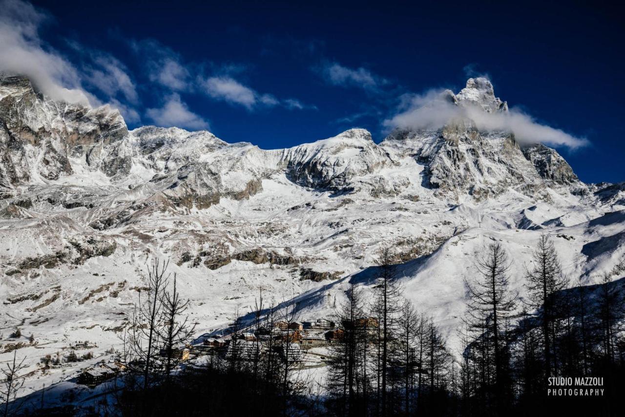 Gasthof D'hotel A Rosy